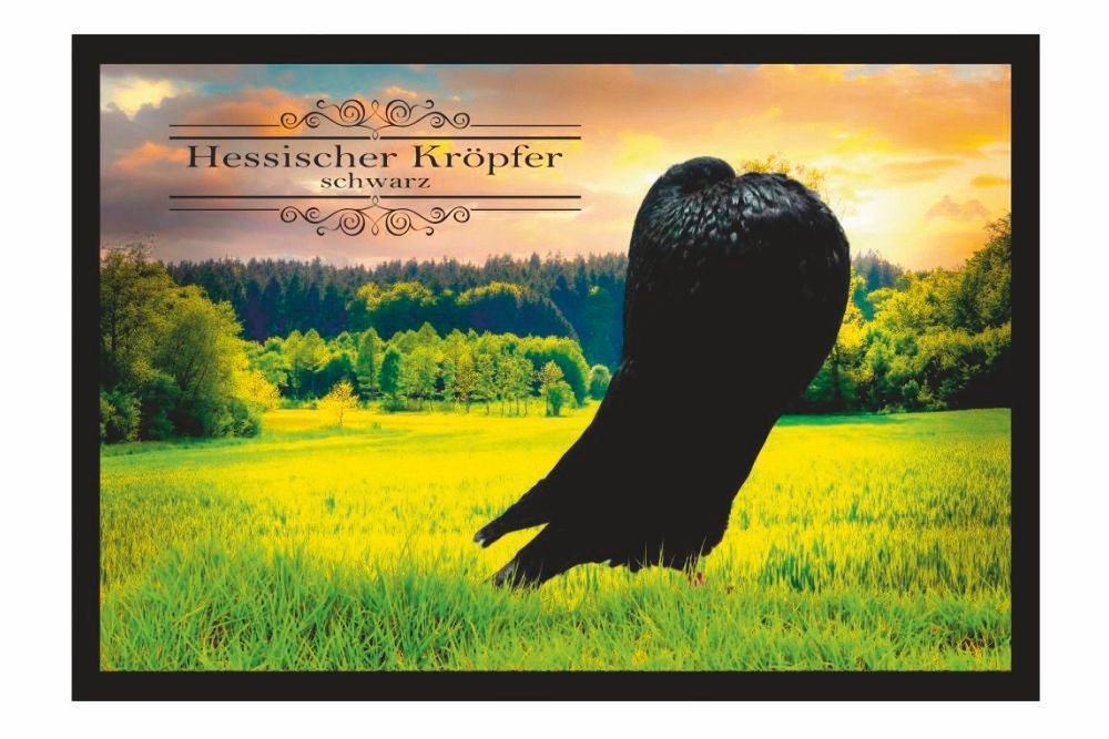 Fußmatte Schmutzfangmatte Taube Hessischer Kröpfer schwarz F2513, Ladreas, 60x40 von Ladreas