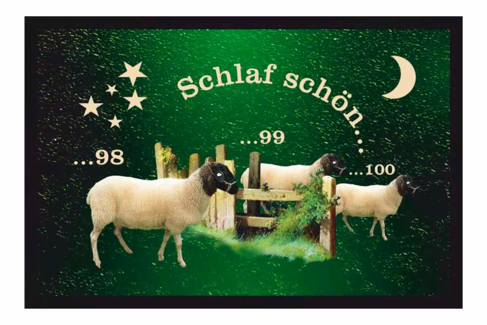 Fußmatte Schmutzfangmatte Schwarzes Schlaf schön Schafe zählen F803, Ladreas, 60x40 von Ladreas