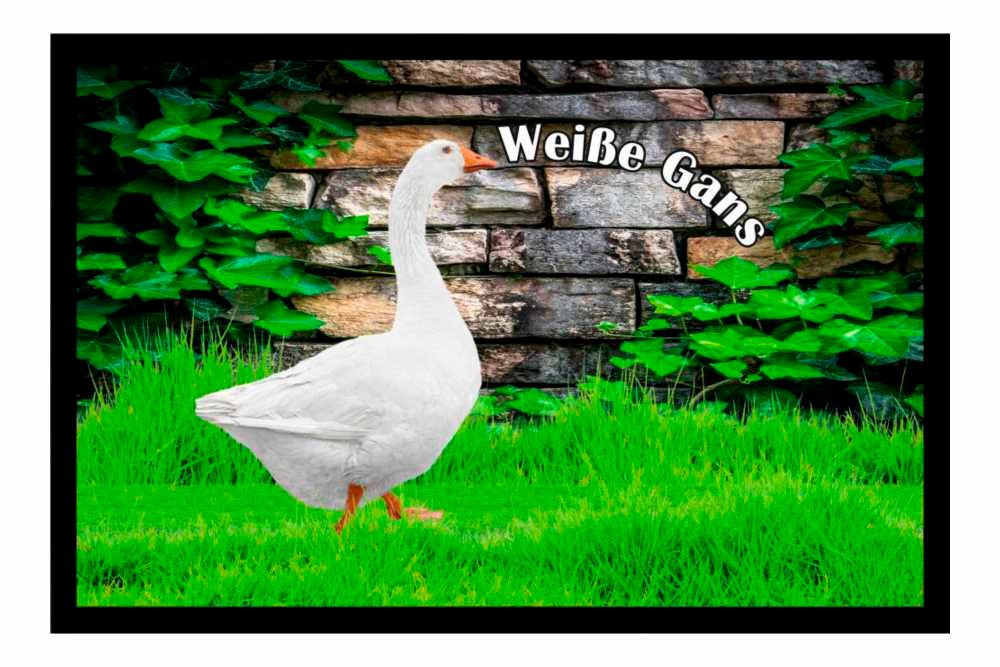 Fußmatte Schmutzfangmatte Wassergeflügel Weiße Gans F1177, Ladreas, 60x40 von Ladreas