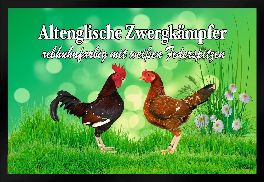 Fußmatte Hühner Altenglische Zwergkämpfer rebhuhnfarbig F1442, Ladreas, 60x40 von Ladreas