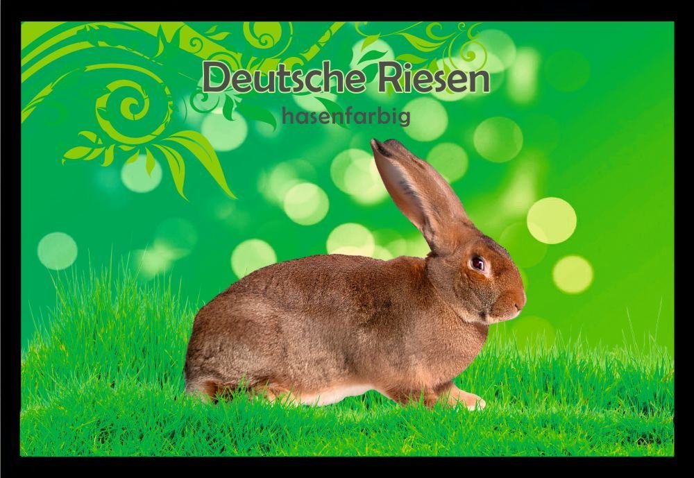 Fußmatte Schmutzfangmatte Kaninchen Deutscher Riese hasenfarbig F1456, Ladreas, 60x40 von Ladreas