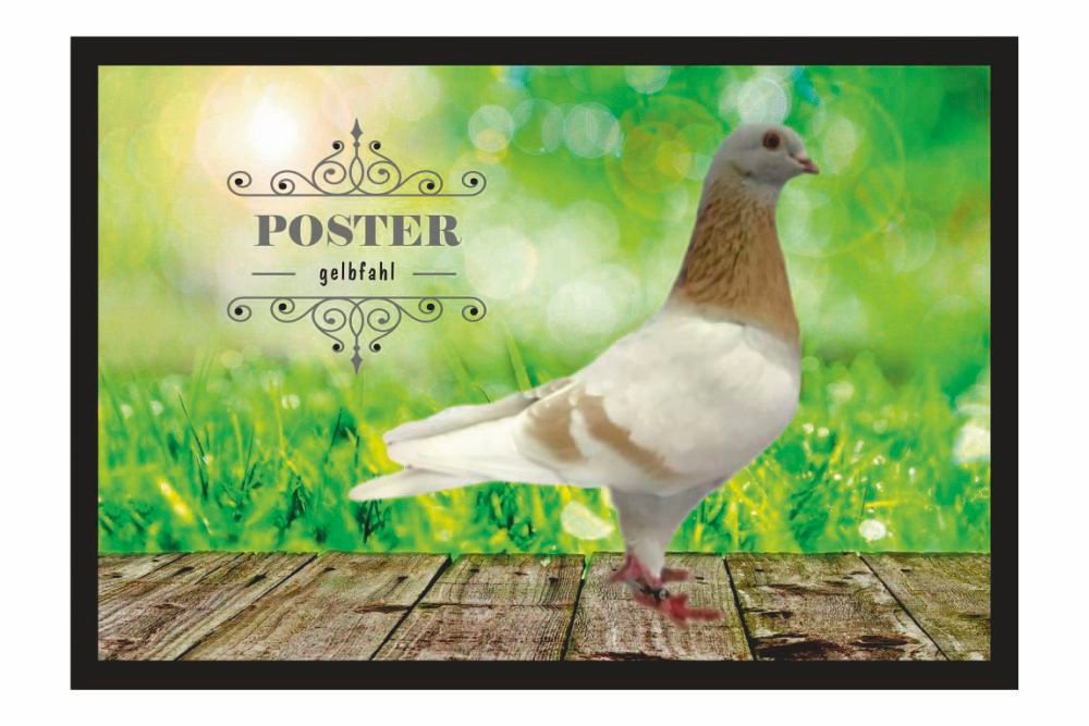 Ladreas Fußmatte Schmutzfangmatte Taube Poster gelbfahl F2602, 60x40 Ladreas Fußmatte Schmutzfangmatte Taube Poster gelbfahl F2602, 60x40 von Ladreas
