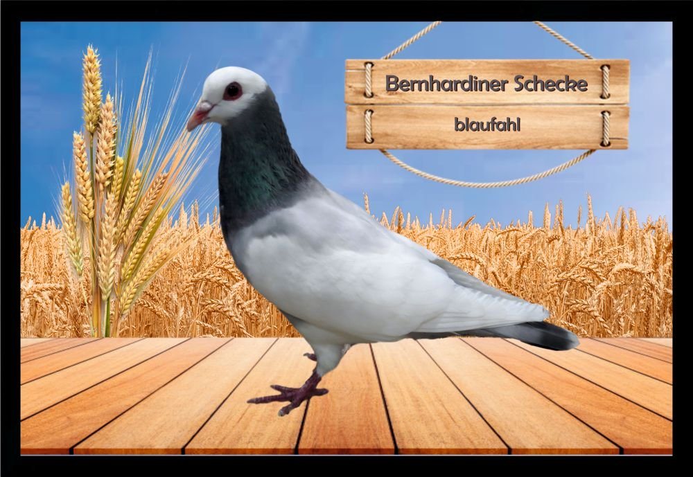 Fußmatte Schmutzfangmatte Tauben Bernhardiner Schecke blaufahl F2415, Ladreas, 60x40 von Ladreas