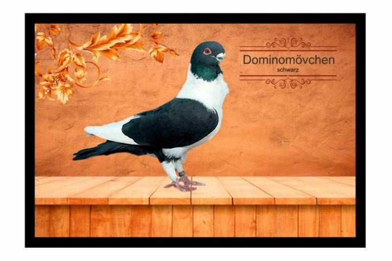 Ladreas Fußmatte Schmutzfangmatte Tauben Dominomövchen schwarz F2070, 60x40 Ladreas Fußmatte Schmutzfangmatte Tauben Dominomövchen schwarz F2070, 60x40 von Ladreas