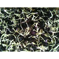 Dianthus Petals - Blume Des Gottes & Der Göttin, Verwendet in Räucherstäbchen Oder Potpourri Und Magie Bekannt Auch Als Nelke von LadyOfTheMoss