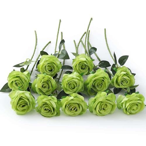 Laelfe 12 Stück Grün Künstliche Rosen, 21in Realistische Langstielige Kunstblumen Rosen, Künstliche Blumen Seide Kunstrose für St Patricks Day Hochzeitsdeko Heiratsantrag Geburtstag Büro Laelfe 12 Stück Grün Künstliche Rosen, 21in Realistische Langstielige Kunstblumen Rosen, Künstliche Blumen Seide Kunstrose für St Patricks Day Hochzeitsdeko Heiratsantrag Geburtstag Büro von Laelfe