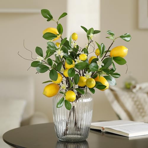 Laelfe Künstliche Zitronenzweig, 8 Köpfe Gelbe Künstliche Zitronen Deko Stiele mit Magnolienblüten und Weidenblättern, Pflanzen Zitronenbaum Künstlich für Zuhause, Küche, Tischdekoration Laelfe Künstliche Zitronenzweig, 8 Köpfe Gelbe Künstliche Zitronen Deko Stiele mit Magnolienblüten und Weidenblättern, Pflanzen Zitronenbaum Künstlich für Zuhause, Küche, Tischdekoration von Laelfe
