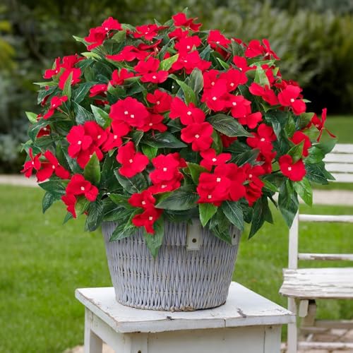 Laelfe Kunstblumen für Draußen, Künstliche Impatiens Blumen wie echt Gefälschte Blumenstrauß Wetterfest für Outdoor Innenbereich Balkon Gärten Veranden Terrassen Dekoration (2 Stück, Rot) von Laelfe