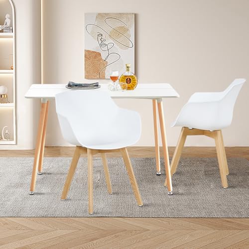LafeuR Essgruppe Esstisch mit 2 Stühlen Esszimmergruppe, Rechteckig Küchentisch und 2er Set Esszimmerstühle mit Armlehnen für Küche Wohnzimmer Garten Balkon(Weiß Tisch+2 Weiß Stuhl) von LafeuR