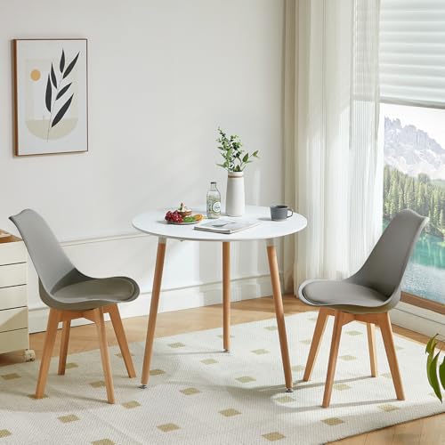 LafeuR Runder Esstisch mit 2 Stühlen Essgruppen, 2er Set Esszimmerstühle mit küchentisch Esszimmergruppe, Tischgruppe Sitzgruppe für Balkon, Küche, Wohnzimmer(Weiß Tisch + 2 Grau Stuhl) von LafeuR