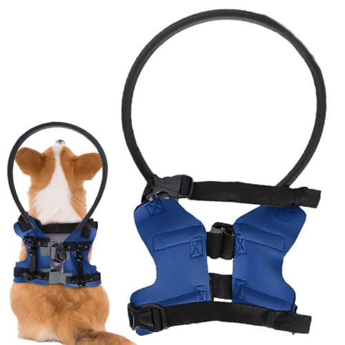 Halo Für Blinde Hunde, Führungshilfe Gegen Kollisionen, Schutzgeschirr | Hund Halo Geschirr Mit Reflektion, Anti-Kollisions-Führungsring Für 4 Bis 10 Kg Visuell Beeinträchtigt von Lainiaoly