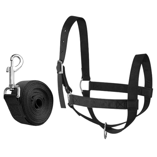 Halter - Führungs Halter und Führstrick | Show Vieh Strapazierfähiges Nylon Verstellbar für Ranch Bauernhof Grünland Ziege Fohlen Lamm Halter - Führungs Halter und Führstrick | Show Vieh Strapazierfähiges Nylon Verstellbar für Ranch Bauernhof Grünland Ziege Fohlen Lamm von Lainiaoly