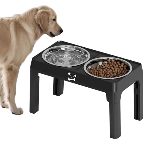 Hunde Fütterungsstation - Edelstahl Hundenäpfe mit Ständer - 5-Fach höhenverstellbare abnehmbare Futterschüssel für Haustiere Kätzchen Welpen kleine mittlere große Rassen Hunde Fütterungsstation - Edelstahl Hundenäpfe mit Ständer - 5-Fach höhenverstellbare abnehmbare Futterschüssel für Haustiere Kätzchen Welpen kleine mittlere große Rassen von Lainiaoly