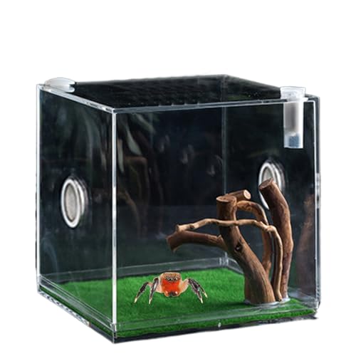 Klarer Reptilienkäfig, Acrylterrarium Zum Springen Von Spinnenwachstum, Klarer Glasreptilienbehälter Mit LED -Licht, Leichtem Und Atmungsaktivem Kleinen Tierzüchter Für Käfer, Schnecken, Eidechsen Klarer Reptilienkäfig, Acrylterrarium Zum Springen Von Spinnenwachstum, Klarer Glasreptilienbehälter Mit LED -Licht, Leichtem Und Atmungsaktivem Kleinen Tierzüchter Für Käfer, Schnecken, Eidechsen von Lainiaoly