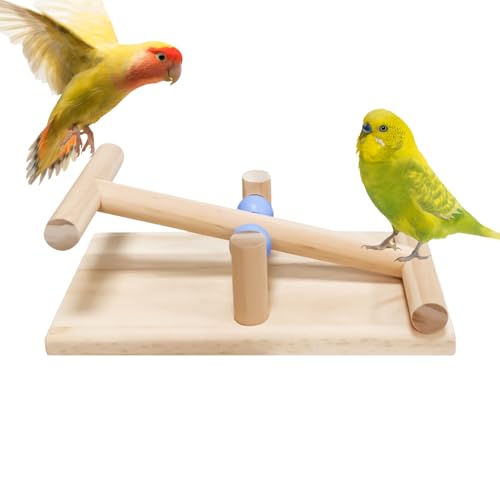 Lainiaoly Vogelspielzeug, Vogeltrainingswippe Aus Holz, Tisch Balance Spielzeug für Nymphensittiche und Sittiche, Interaktives Trainingswerkzeug für von Lainiaoly