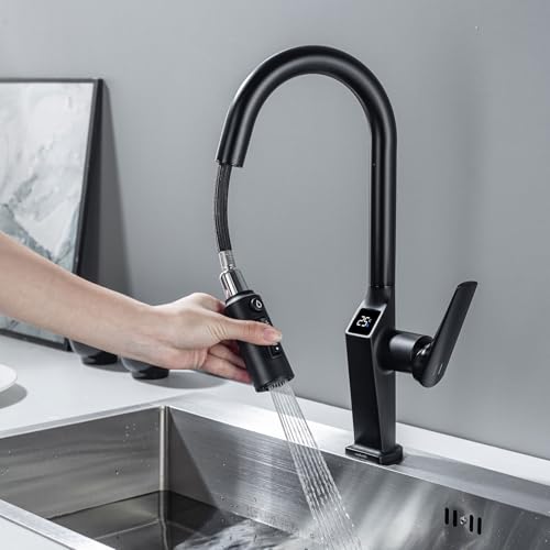 LakeBayMZC 3 Wege Wasserhahn Küche Mit Ausziehbar,Mit LED-Temperaturanzeige,3 in 1 Mischbatterie für Wasserfilter,360°Drehbar Küchenarmatur, Schwarz Matt von LakeBayMZC