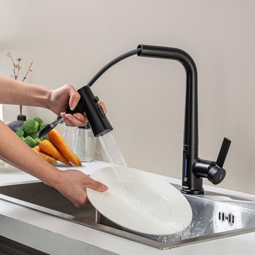 LakeBayMZC Wasserhahn Küche Mit Brause Ausziehbar,Küchenarmatur 360°Schwenkbar Spültischarmatur LED Temperaturanzeige,Einhebel Armatur Küche mit 3 Strahlarten,Schwarz Matt von LakeBayMZC
