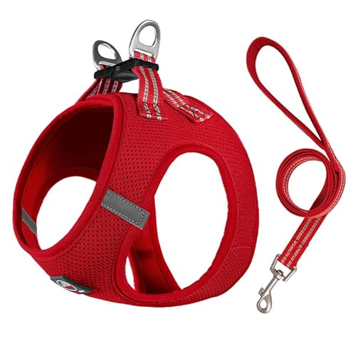 Lalazoo Miami Hundegeschirr Step-in – No-Pull leicht & atmungsaktiv gepolstert & reflektierend verstellbar mit Doppel-D-Ring & Sicherheitsverschluss für kleine Hunde Welpen inkl. Leine – Rot, M von Lalazoo