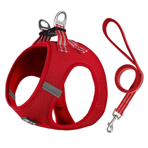 Lalazoo Miami Hundegeschirr Step-in – No-Pull leicht & atmungsaktiv gepolstert & reflektierend verstellbar mit Doppel-D-Ring & Sicherheitsverschluss für kleine Hunde Welpen inkl. Leine – Rot, S von Lalazoo