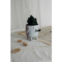 Keramik Übertopf Hund, Graue Blumentopf, Blumentopf Mit Einem Cacti Flowerpot, Topf Mittier, Dackel Geshenk, Lustiger von LamaboCeramics