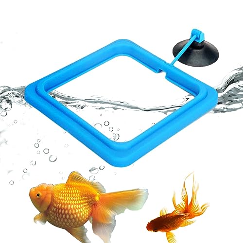 Lambo Fischfutterring Schwimmend -Aquarium Schwimmender Fischfutter-Futterkreis -Automatischer Und Schadstofffreier Schwimmender Fischfutterring Für Schwimmende Pflanzenaquarien von Lambo