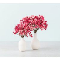 15 Mini Stiele Schleierkraut, Schleierkraut Konservierte Rosa Farbe, Getrocknete Blumen, Pflanzen, Diy Blumenarrangements von LaminariaBotanical