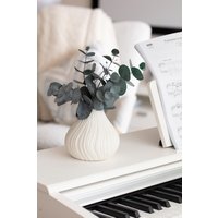 Beruhigend, Reinigen, Beruhigen, Beruhigen von LaminariaBotanical