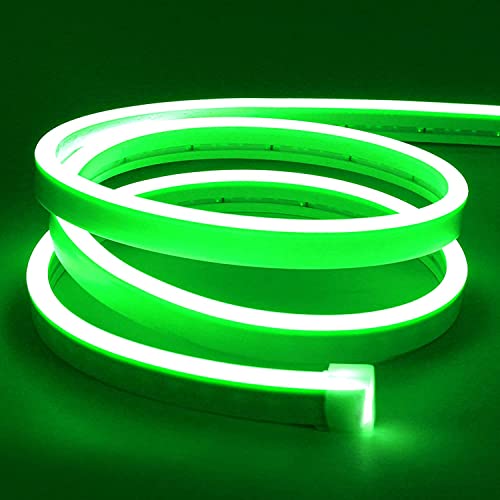 Lamomo LED Strip Grün, 12V 5M LED Lichtband, Wasserdicht Neon LED Streifen, DIY Flexibel Ledband für Innen Aussenbereich Heim Küche Deko（Netzadapter nicht enthalten） von Lamomo