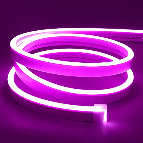 Lamomo LED Strip Lila, 12V 5M LED Lichtband, Wasserdicht Neon LED Streifen, DIY Flexibel Ledband für Innen Aussenbereich Heim Küche Deko（Netzadapter nicht enthalten） von Lamomo