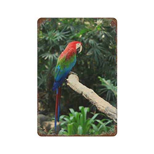 Metall-Blechschild mit Ara-Motiv, Retro, tropisches Reisehotel, Badezimmer, Wanddekoration, Haus für Zuhause, Pool, WC, Schlafzimmer, Outdoor, 30,5 x 20,3 cm Metall-Blechschild mit Ara-Motiv, Retro, tropisches Reisehotel, Badezimmer, Wanddekoration, Haus für Zuhause, Pool, WC, Schlafzimmer, Outdoor, 30,5 x 20,3 cm von Lampart