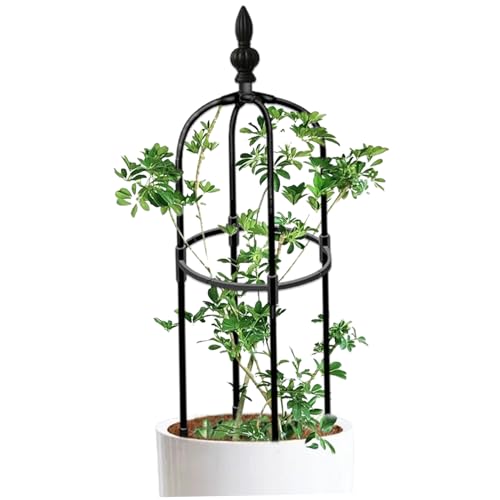 Lamppdcor 3ft Garten Obelisk Gitter, runde rostbezogene DIY -Pflanzenkletternschalis leicht zu montieren für Töpfe Innenkletternpflanzen von Lamppdcor