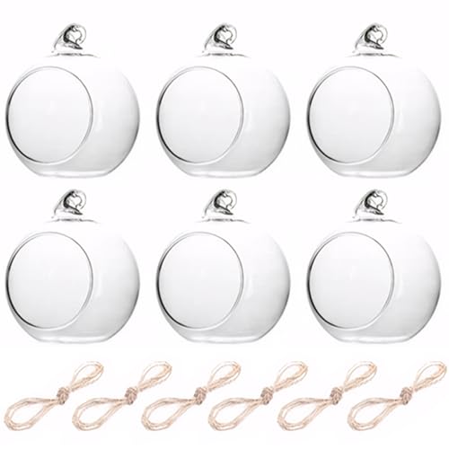 6pcs 3, 2 Zoll hängende Glaskugel für LED -Kerzen - DIY -Tee -Lichthalter mit Seil für Baum Deckenwanddekoration von Lamppdcor