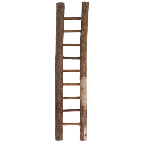 Lamppdcor 14x3, 4 Zoll Fairy Garden Leiter, Holzminiaturen Ornamente für Bar -Ladenfensterdekoration von Lamppdcor