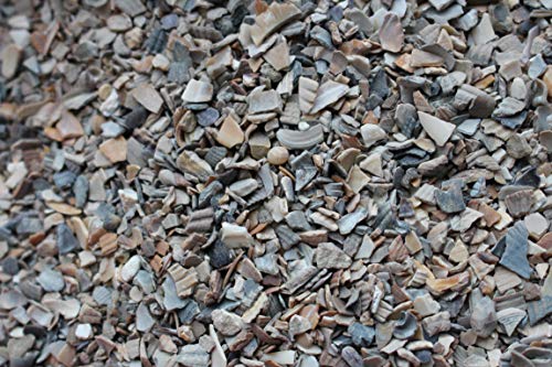 LanDixx Muschelkalk 5 kg für Hühner Muschelschrot Muschelgrit Geflügelgrit Kalk Ostrea Legehenne LanDixx Muschelkalk 5 kg für Hühner Muschelschrot Muschelgrit Geflügelgrit Kalk Ostrea Legehenne von LanDixx