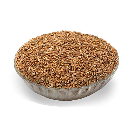 LanDixx Weizen 5 kg Futterweizen Landweizen aktuelle Ernte LanDixx Weizen 5 kg Futterweizen Landweizen aktuelle Ernte von LanDixx