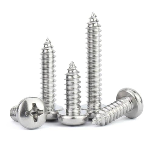 LanMaiXun 200Stück M3×4mm 304 Edelstahl Cross Pan Kopf Selbstschneidende Schrauben, Holzschrauben von LanMaiXun