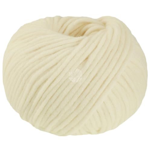 LANA GROSSA Winter Softness | Zartes Schlauchgarn, voluminös mit flauschigen Merinofasern | Handstrickgarn aus 62% Schurwolle & 38% Baumwolle (Bio) | 50g Wolle zum Stricken & Häkeln | 70m Garn FB 1 von Lana Grossa