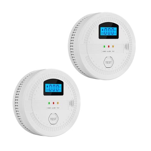 Lancoon 2 in 1 Rauch- und Kohlenmonoxiddetektor mit LCD-Anzeige Batteriebetrieben Photoelektrischer Sensor Stummschaltungstaste Zuhause CO & Rauchmelder Combo Tragbar Leicht zu Installieren 2 Pack von Lancoon