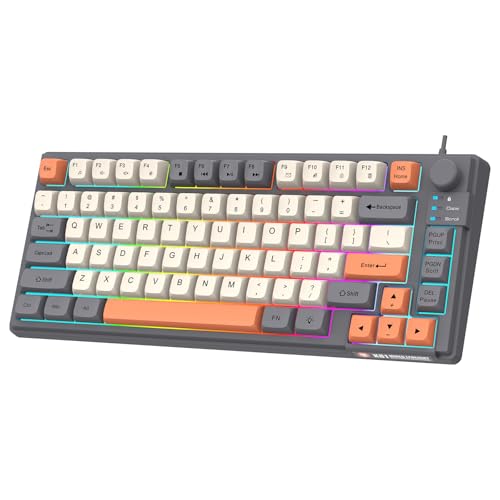 Lancoon Kompakt Kabelgebundene Gaming Tastatur mit Buntem Licht 81 Tasten Lautstärkeregler Verstellbare Halterung Multimedia Funktion Ergonomisches Design für PC Computer Laptop Tablet Lancoon Kompakt Kabelgebundene Gaming Tastatur mit Buntem Licht 81 Tasten Lautstärkeregler Verstellbare Halterung Multimedia Funktion Ergonomisches Design für PC Computer Laptop Tablet von Lancoon