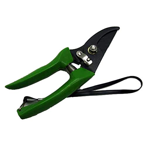 Gartenschere Metall 17cm mit Aufhängeband,Garten Ast Rosen Blumen Strauch Schere (LHS) von Land-Haus-Shop