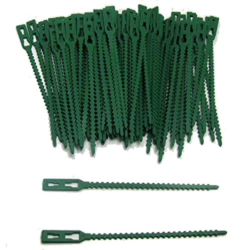 Land-Haus-Shop Pflanzenbinder aus Kunststoff 100 Stück einstellbar,Pflanzen Binder Halter (LHS) von Land-Haus-Shop