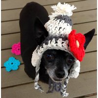 Gehäkelter Hundehut Gestreifter Haustier Hut Aus Baumwolle Mit Blumen von LandOfKnots