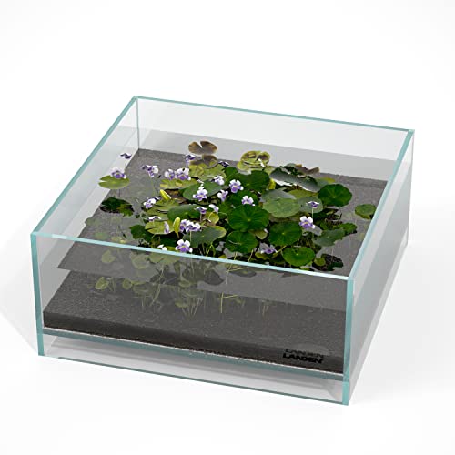 LANDEN Glas-Luft-Aquarium-Tank, Multi-SceneLandschafts-Aquarium, randlos, eisenarmer, Flacher Tank, B 27 x T 27 x H 12 cm, 5 mm Dicke LANDEN Glas-Luft-Aquarium-Tank, Multi-SceneLandschafts-Aquarium, randlos, eisenarmer, Flacher Tank, B 27 x T 27 x H 12 cm, 5 mm Dicke von Landen