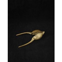 Nussknacker Messing Antiker Aus Walnuss Form Sammlerstück Weihnachtsdekoration Nussknacker Messing Antiker Aus Walnuss Form Sammlerstück Weihnachtsdekoration von Landmum