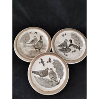 Thomas Porzellan Teller Wandteller Sammelteller Hohltaube Fasan Stockente Germany 26 cm von Landmum