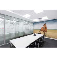 Abnehmbares Vinyl Wandbild Des Pferdes/Schälen Und Aufkleben Stallion Muster Tapete - Peel & Stick Oder Nicht Geklebt Hengst Druck von LandscapeWalls