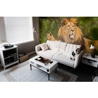 Wildlife Abnehmbares Vinyl Wandbild/Peel & Stick Wild Lion Tapete Löwen Druck von LandscapeWalls