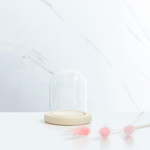 Laneryin Glasglocke mit Holzboden, Hoch Transparente Glasbox Dome Cloche, Robust Langlebig glasglocke zur Präsentation von Pflanzen, Ornamenten, Figuren (5x7cm) von Laneryin