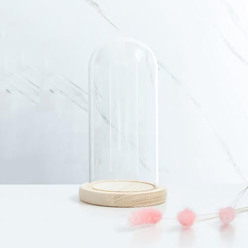 Laneryin Glasglocke mit Holzboden, Hoch Transparente Glasbox Dome Cloche, Robust Langlebig glasglocke zur Präsentation von Pflanzen, Ornamenten, Figuren (9x20cm) von Laneryin