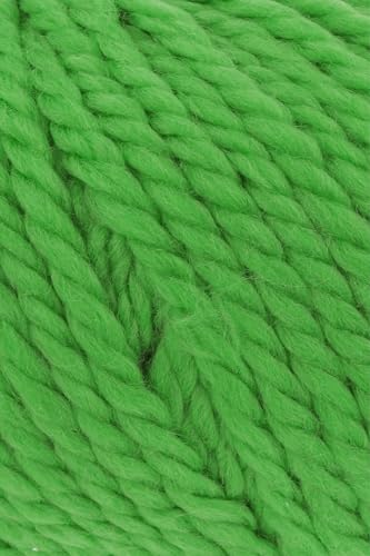 WOOLADDICTS 100g "Fire" - Farbe 16 - grün - super Chunky, feines Merino Sorgen für kuschlig weiche Accessoires. von Lang Yarns